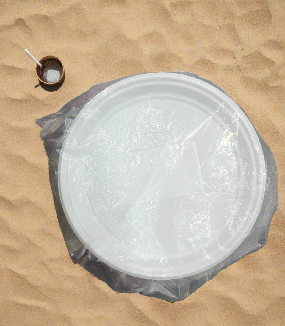 DISPOSABLE SMALL PARTY PLATES