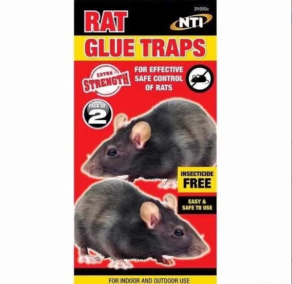 RAT GLUE TRAP PACK OF 2