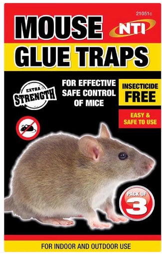 Metal Mouse Trap