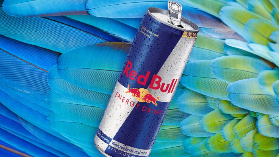 Red Bull